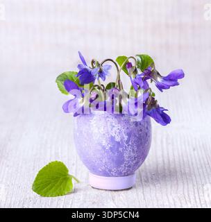 Bunch of spring flowers ( Viola odorata) in painted eggshell on the white rustic wooden table. Shallow depth of field. Selective  focus. Easter decor Stock Photo