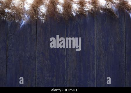 Deep purple-tinted wooden texture with vertical grain and a border of fluffy dried reeds. Dark, moody, and elegant rustic background Stock Photo