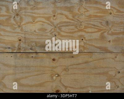 Light brown plywood board with grain and knots. Construction material, wood texture, natural motif. Close-up,  Copyspace. Stock Photo