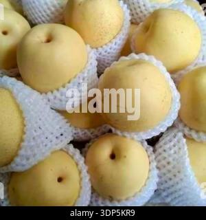 Fresh Asian pears with foam net protection, ripe yellow fruit close-up, natural produce texture, market display, healthy food concept. Stock Photo