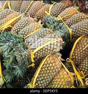 Fresh pineapples bundled with yellow ties, stacked in a market display, showing tropical fruit harvest, natural texture, and organic produce abundance Stock Photo