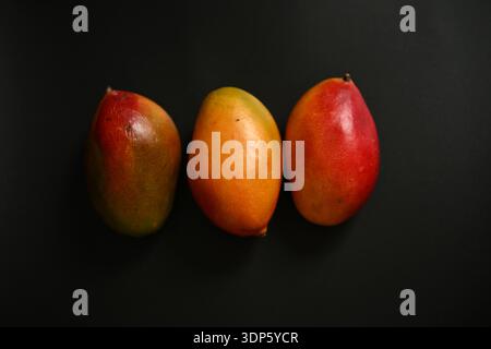 Fresh ripe mango trio on dark background representing healthy exotic nutrition and culinary inspiration Stock Photo