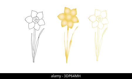 Vector daffodils flowers. Graphic Narcissus, easter hand drawn illustration isolated on background. Botanical and wedding, baby clip art. For greeting Stock Vector