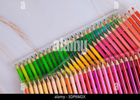 Colored pencils in various colors are neatly placed in clear case on light surface. Stock Photo