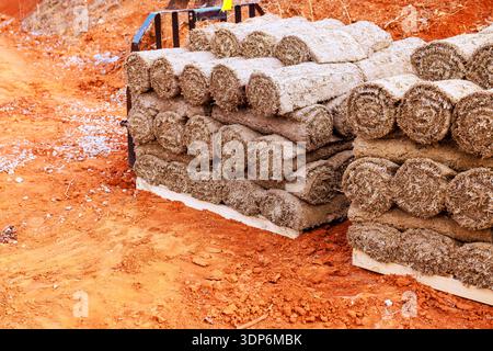 Sod rolls are stacked neatly on wooden pallets beside a dirt path at landscaping site Stock Photo