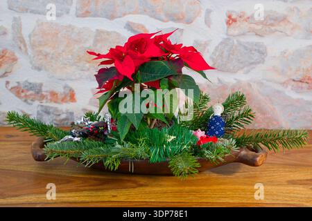 Poinsettia and Festive Christmas Arrangement on Wooden Table, Holiday Decoration Stock Photo