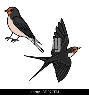 Vector illustration of two barn swallows, one perched and one in flight, with detailed wings and plumage, isolated on white. Stock Vector