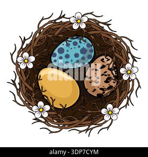 Vector illustration of a whimsical Easter bird nest with three colorful eggs and delicate white flowers Stock Vector