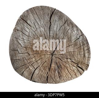 Tree stub top view displaying natural wood texture with radial cracks and annual growth rings on transparent background Stock Photo
