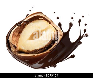 Hazelnuts with chocolate splash on white background. Stock Photo