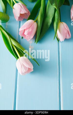 Pink Tulips Arranged on a Blue Wooden Surface in a Simple Display for Decoration Stock Photo