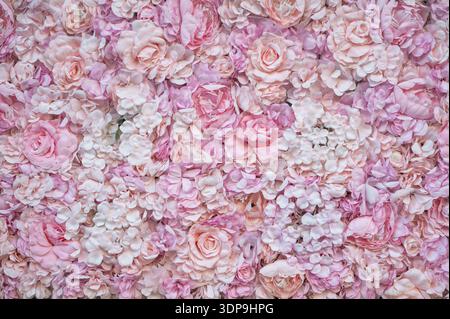 Dense field of fabric roses in white and pink, over 100 flower heads packed tightly, realistic textile flowers as perfect seamless background. Stock Photo