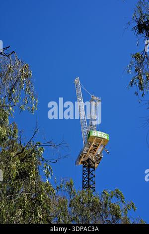 BFG tower construction crane rising above trees against clear blue sky, Western Australia, Australia Stock Photo