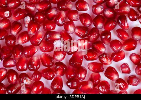 Bright pomegranate seeds closeup showcasing glossy ruby texture, scattered on white surface with studio lighting, highcontrast macro detail of translu Stock Photo