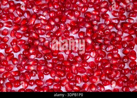 Bright pomegranate seeds form abstract pattern, repetitive ruby texture with glossy reflections, versatile seamless background for design, textile, an Stock Photo