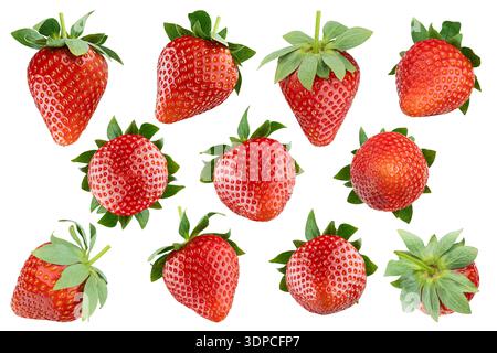 Assortment of ripe fresh vivid red strawberries with green stems, closeup, isolated on white background. Whole from different sides. Organic berries p Stock Photo