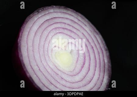 Close up sliced red onion on black background Stock Photo