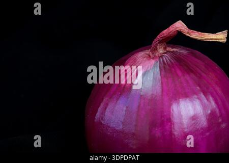 Red onion isolated on black background Stock Photo