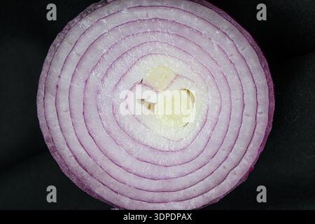 Close up sliced red onion on black background Stock Photo