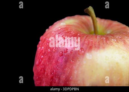 Close up apple with water droplets on black Stock Photo