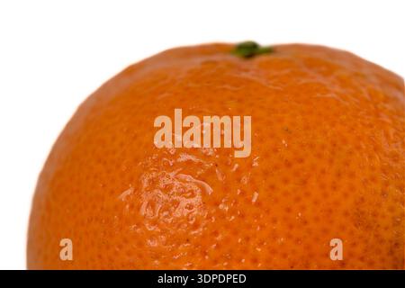 Close up of fresh mandarin with water droplets Stock Photo