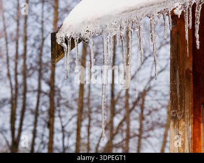 Crystal Clear Icicles Hanging from a Rustic Wooden Roof in Winter Stock Photo
