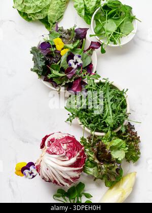 Fresh lettuces like romaine and radicchio are arranged on a marble countertop. Snow peas and edible flowers add color. This setup promotes vegan meal Stock Photo