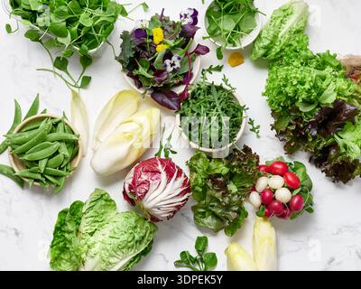 Fresh lettuces and vegetables are arranged on a marble countertop in a kitchen. The preparation includes radicchio, romaine, arugula, and radishes for Stock Photo