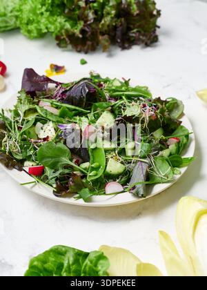 A plate holds a spring salad made of fresh lettuce, green peas, cucumber, and sliced radishes. The salad sits on a marble countertop during lunchtime. Stock Photo