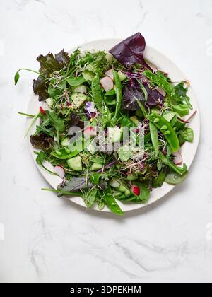 A plain plate holds a fresh spring salad with various types of lettuce, green peas, sliced cucumber, and radishes. The scene shows a top view on a mar Stock Photo