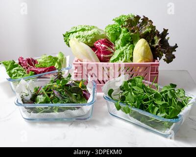 Containers display different types of lettuces on a marble countertop in a kitchen. The fresh greens include romaine, radicchio, and various mixes rea Stock Photo