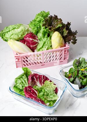 Multiple types of lettuces are placed in clear containers on a marble kitchen countertop with a white background. Containers include radicchio, romain Stock Photo