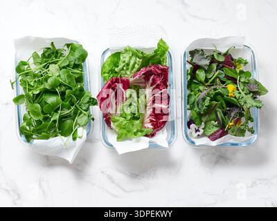Containers hold different types of lettuces including radicchio, romaine, rucola, chicory, red leaf, endive, and mesclun mix. The scene is set on a ma Stock Photo