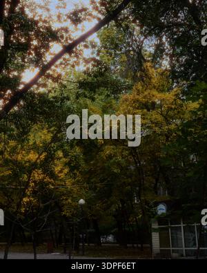 Urban residential street in Almaty featuring Soviet-era apartment blocks and mature trees in autumn." Stock Photo
