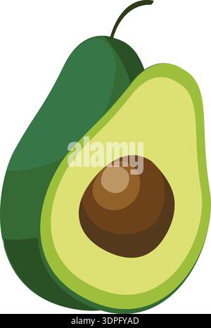 Avocado Fruits, Green fruits, Avocado slices, fruits illustration, Ripe avocados, whole avocado Stock Vector