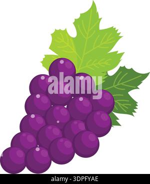 Grapes Fruits, Green fruits, Grapes in group, fruits illustration, Grapes icon, Grapes with leaf Stock Vector