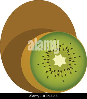 Kiwi Fruits, Green fruits, Kiwi slices, fruits illustration, Ripe Kiwi, whole Kiwi Stock Vector
