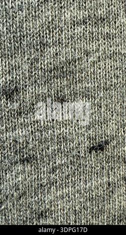 Gray woolen fabric texture with knitted pattern background suitable for textile and fashion concepts. Mobile photo Stock Photo