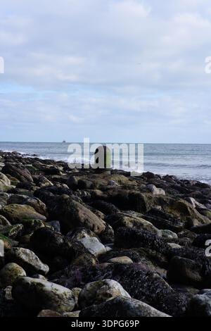 Green navigation marker standing on seaweed-covered rocks at Folkestone beach with waves and horizon. Folkestone,England Stock Photo