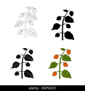 Physalis branches in various styles. Vector illustration isolated on white background. Stock Vector