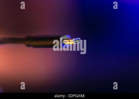 Usb type c connector in neon gradient. Modern connection. Stock Photo