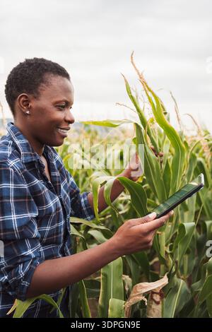 Smiling african farmer inspecting corn crops using digital tablet in cultivated field Stock Photo