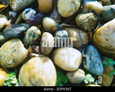 A restorative macro study of smooth river pebbles in Budapest. Earthy tan and grey tones with soft morning light at Pongratz Gergely ter offer Stock Photo