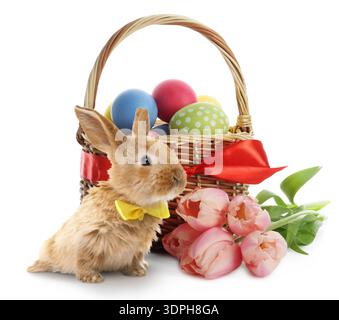 Easter eggs in basket, cute fluffy bunny and spring flowers on white background Stock Photo
