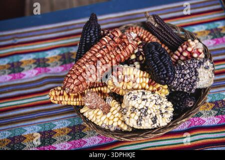 Different types of corn in blue, red, yellow and purple, Peru Stock Photo
