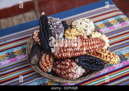 Different types of corn in blue, red, yellow and purple, Peru Stock Photo