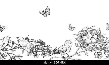 Birds and a nest with eggs on spring branches, seamless border. Vector illustration. Cherry blossoms and butterflies isolated on a white background Stock Vector