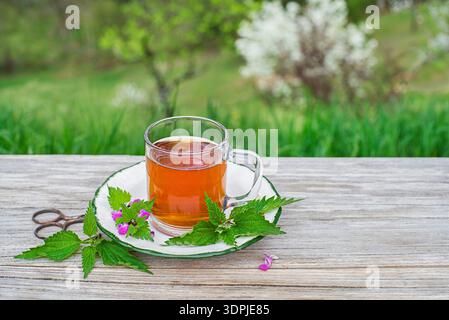 Cup of healthy herbal tea with nettle on wooden table at home garden. Stock Photo