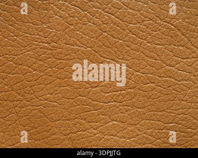 Bright soft beige or light brown color leather skin natural with design lines pattern or abstract background. Can use as wallpaper or backdrop luxury Stock Photo
