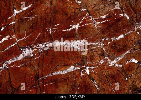 Modern White Fire Gold - marble background, texture in elegant brown tone for your stylish interior. Stock Photo